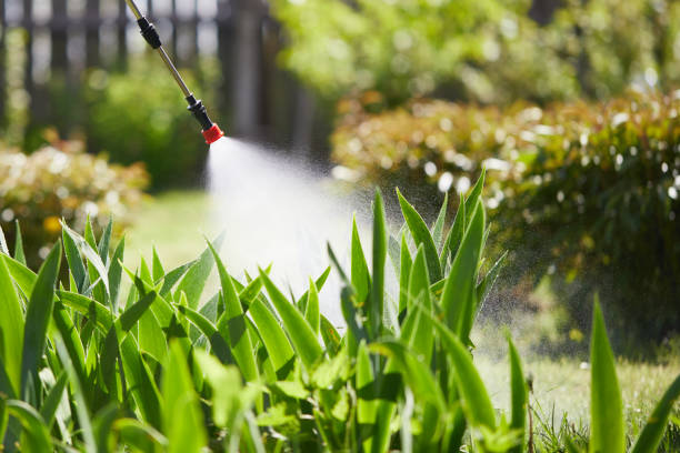 24/7 Emergency Cockroach Control experts in North Laurel, MD