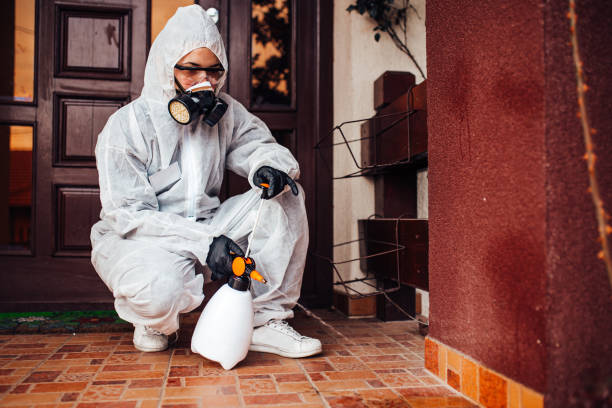 Reliable Cockroach Control contractor in North Laurel, MD by Nex Pest Control